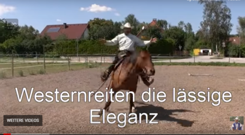 Westernreiten lernen